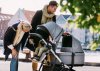Thule Sleek � �������� � �������� � ����� ������