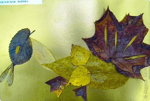DSCN0218.jpg