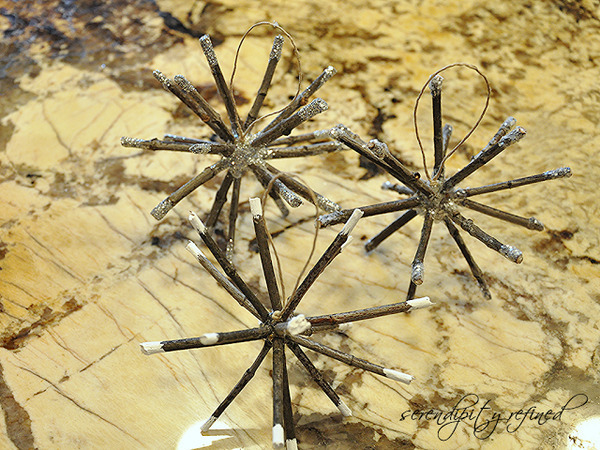 twig7 (640x480, 648Kb)
