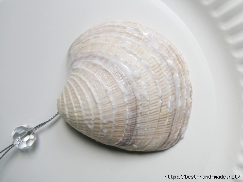 shells4 (500x375, 80Kb)