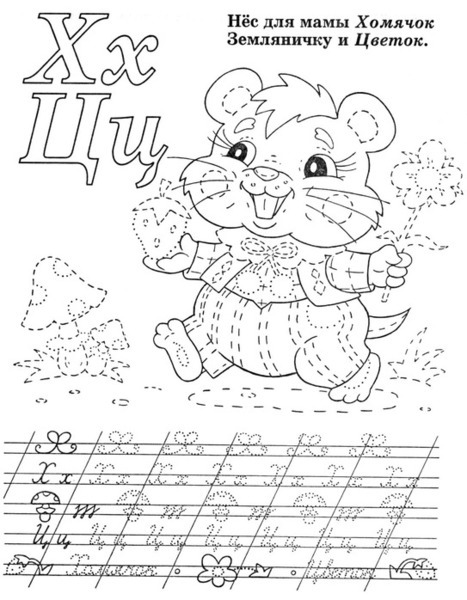 55019653_p11.jpg