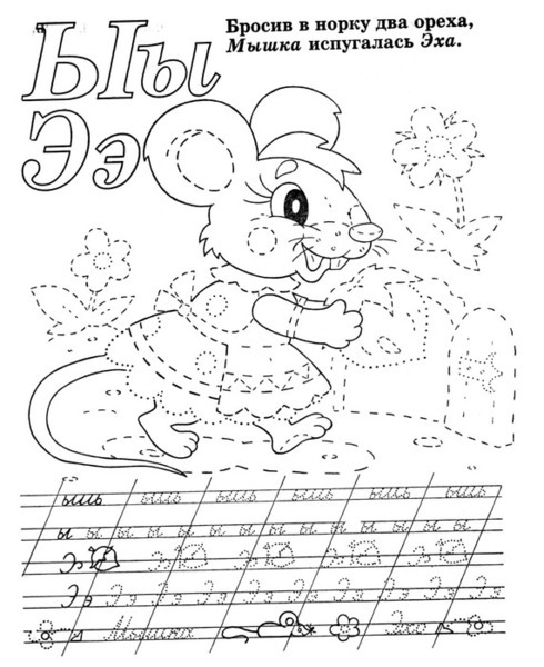55019687_p14.jpg