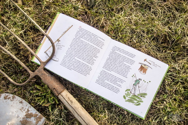 Книга «Лето в деревне» -