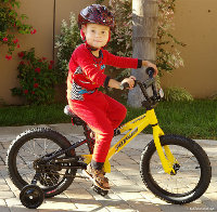 L1001486-bike.jpg