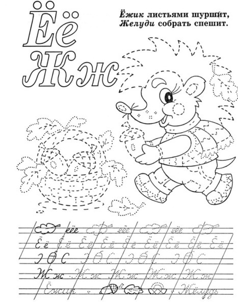55019525_p3.jpg