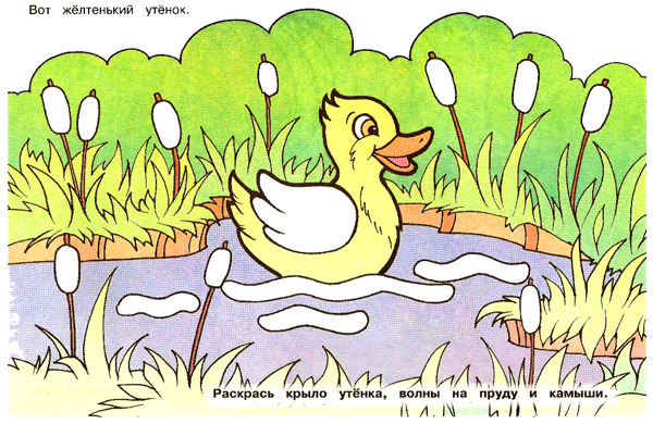 6 (600x390, 500Kb)