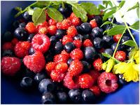 berries.jpg