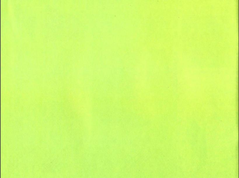 16.jpeg