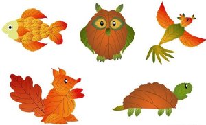 applic32.jpg
