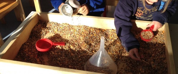 birdseeds