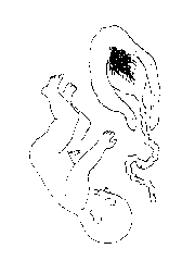 03_clip_image004.gif