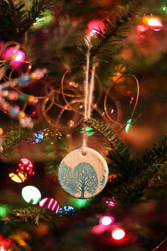 20638_26Jan12_IMG_0340-1-WebEmailSize (333x500, 78Kb)
