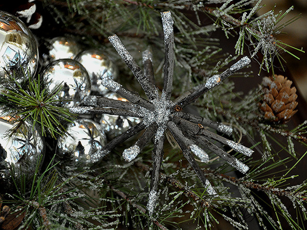 twig9 (640x480, 704Kb)
