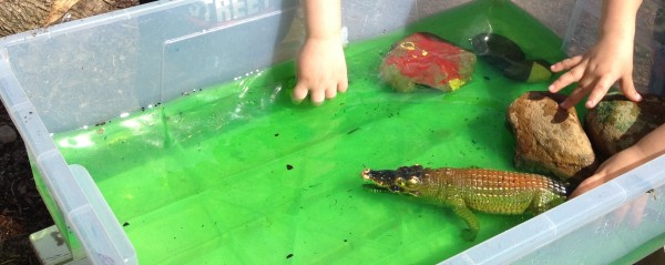 croco_water