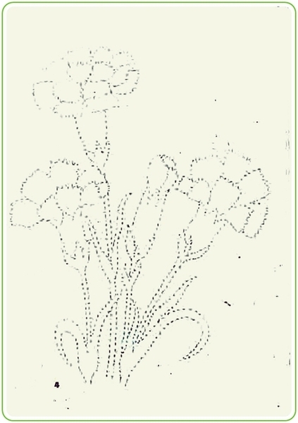 ��.��0014atrtr (493x700, 109Kb)